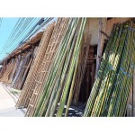ไม้ไผ่ - โรงไม้ยิ่งนคร