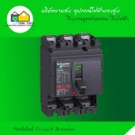 Molded Cricuit Breaker - บริษัท สโตร์ไฟฟ้า จำกัด