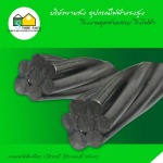 ลวดเหล็กตีเกลียว (Steel Strand Wire)