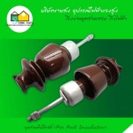 ลูกถ้วยพินโพสท์ (Pin Post Insulator)