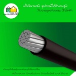 สายอลูมิเนียมหุ้มและสายอลูมิเนียมเปลือย (Aluminum Conductors Insulated and Bare)