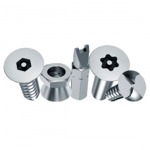 สลักภัณฑ์สำหรับงานด้านความปลอดภัย Security Fasteners - บริษัท ทีอาร์ ฟอร์แมค จำกัด