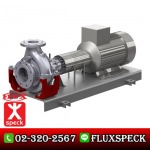 Multistage Pump - Boiler Feed Pump - ปั้มอุตสาหกรรม - ฟลุคส์ ชเป็ค