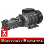 Side Channel Pump With mechanical seal - ปั้มอุตสาหกรรม - ฟลุคส์ ชเป็ค