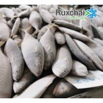 บริการรับจ้างฟรีสของสด สมุทรสาคร  - บริษัท รักชัยห้องเย็น จำกัด