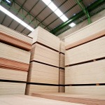 waterproof plywood - บริษัทนำเข้าและจำหน่ายไม้อัด - ฉัตรอินเตอร์ไม้อัดไทย