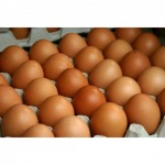 ขายส่งไข่ไก่ พิจิตร - กางกรณ์การค้า พิจิตร