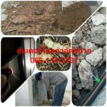 บริษัทกำจัดปลวกบุรีรัมย์-สุรินทร์ - ฮันเตอร์ โฮมเซอร์วิส