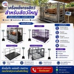 เครื่องชั่งกรงสัตว์ เครื่องชั่งการเกษตร