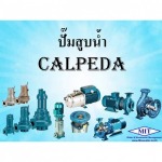 Calpeda water pump - บริษัทออกแบบ-ติดตั้งระบบบำบัดน้ำเสีย และกำจัดกากตะกอน