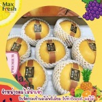 ผลไม้นำเข้า ญี่ปุ่น - รับจัดกระเช้าผลไม้พรีเมี่ยมขายส่งผลไม้นำเข้า ผลไม้นานาชาติ