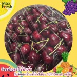 ผลไม้เกรดพรีเมียมนำเข้า