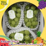 ผลไม้นำเข้าจากต่างประเทศ