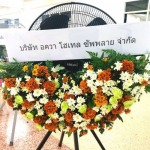 ร้านพวงหรีด ภูเก็ต - ร้านดอกไม้ภูเก็ต 24 Flower