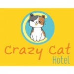 โรงแรมแมว Crazy Cat Hotel เครซี แคท โฮเทล 