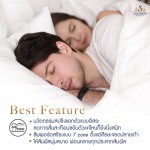 ที่นอนเพื่อสุขภาพ - บริษัท ที่นอนโซโลม่อน จำกัด