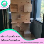 โรงแรมแมวดอนเมือง