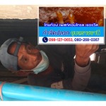 บริษัทกำจัดแมลง อุบลราชธานี