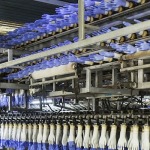 บริษัทออกแบบ ติดตั้งเครื่องจักรผลิตถุงมือยาง