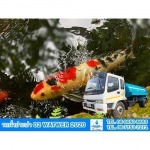 Fish pond water replenishment service - รถน้ำประปา กรุงเทพ O2 WATER 2020