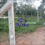 ติดตั้งรั้วล้อมสวน - บริษัท บุนย์วานิช อินเตอร์เนชั่นแนล จำกัด