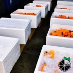 โรงงานน้ำส้ม ขายส่ง - น้ำส้มคั้นสดสลิลทิพย์