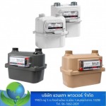 Gas meter - บริษัท แวนเทจ พาวเวอร์ จำกัด