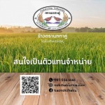 รับสมัครตัวแทนจำหน่ายข้าวตรานกทาคู่