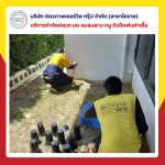 กำจัดปลวกบ้านราคาพิเศษ - บริษัท มิตรภาพ เซอร์วิส กรุ๊ป จำกัด (สาขาโคราช)