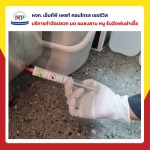 กำจัดแมลงสาบพัทยา - บริษัท มิตรภาพ เซอร์วิส กรุ๊ป จำกัด (สาขาพัทยา)