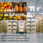 ล้งผลไม้ - ซื้อขาย นำเข้าส่งออก สินค้าเกษตร และเคมีภัณฑ์ด้านการเกษตร