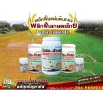 ขายส่งสารอินทรีย์สกัดเข้มข้น นนทบุรี - ไออาร์ไอ ดินพลิกชีวิต