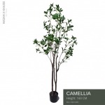 คาร์มีเลีย Camellia - ต้นไม้ปลอม ต้นไม้เหมือนจริง เกรดพรีเมี่ยม - มาดามขจี