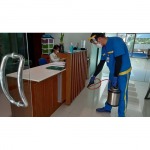 บริษัทกำจัดแมลงสาบเชียงใหม่  - บริษัท ซัคเซซ เซอร์วิส เชียงใหม่ จำกัด