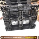 ขายพาเลทพลาสติกมือสอง - จำหน่ายพาเลท ชลบุรี - ไทเกอร์ ออนเวย์