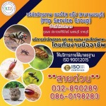 บริษัทกำจัดปลวก-สัตว์รบกวนเพชรบุรี - บริษัท มิตรภาพ เซอร์วิส กรุ๊ป จำกัด (สาขาเพชรบุรี)