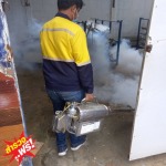รับกำจัดปลวกเพชรบุรี - บริษัท มิตรภาพ เซอร์วิส กรุ๊ป จำกัด (สาขาเพชรบุรี)