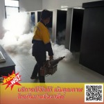 กำจัดยุงเพชรบุรี - บริษัท มิตรภาพ เซอร์วิส กรุ๊ป จำกัด (สาขาเพชรบุรี)