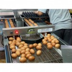 เครื่องคัดไข่ไก่ - บริษัท เลิศพัฒนา แอลพีเอ็น จำกัด