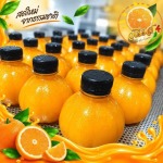 ขายส่งน้ำส้มคั้นสด ปทุมธานี