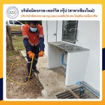 บริษัทกำจัดปลวกใกล้ฉันเชียงใหม่ - บริษัท มิตรภาพ เซอร์วิส กรุ๊ป จำกัด (สาขาเชียงใหม่)