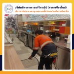 บริษัทกำจัดหนู สัตว์รบกวน เชียงใหม่ - บริษัท มิตรภาพ เซอร์วิส กรุ๊ป จำกัด (สาขาเชียงใหม่)