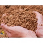 wholesale coarse sand - ท่าทราย ศาลายา - รันเจริญ