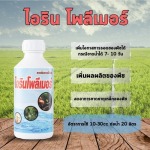 ไอรินโพลิเมอร์ - จำหน่ายสารปรับปรุงดิน ปุ๋ยน้ำเพิ่มผลผลิต จากนวัตกรรมอเมริกา