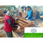 โรงงานผลิตพาเลทไม้ สระบุรี  - บริษัท พีแอนด์ทีพาเลท จำกัด