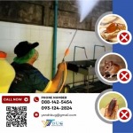 รับฉีดปลวก ราคาถูก