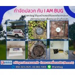 กำจัดปลวกรังสิต