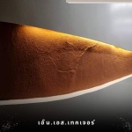 โรงงานผลิตสีเท็กซ์เจอร์ - บริษัทรับเหมาพ่นสีเท็กซ์เจอร์ - เอ็น.เอส.เทคเจอร์