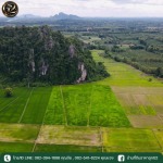 ขายที่ดินในจังหวัดพิษณุโลก ราคาถูก