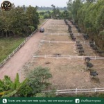 ที่ดินแบ่งขาย พิษณุโลก